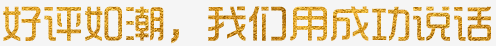 好評如潮，我們用成功說話