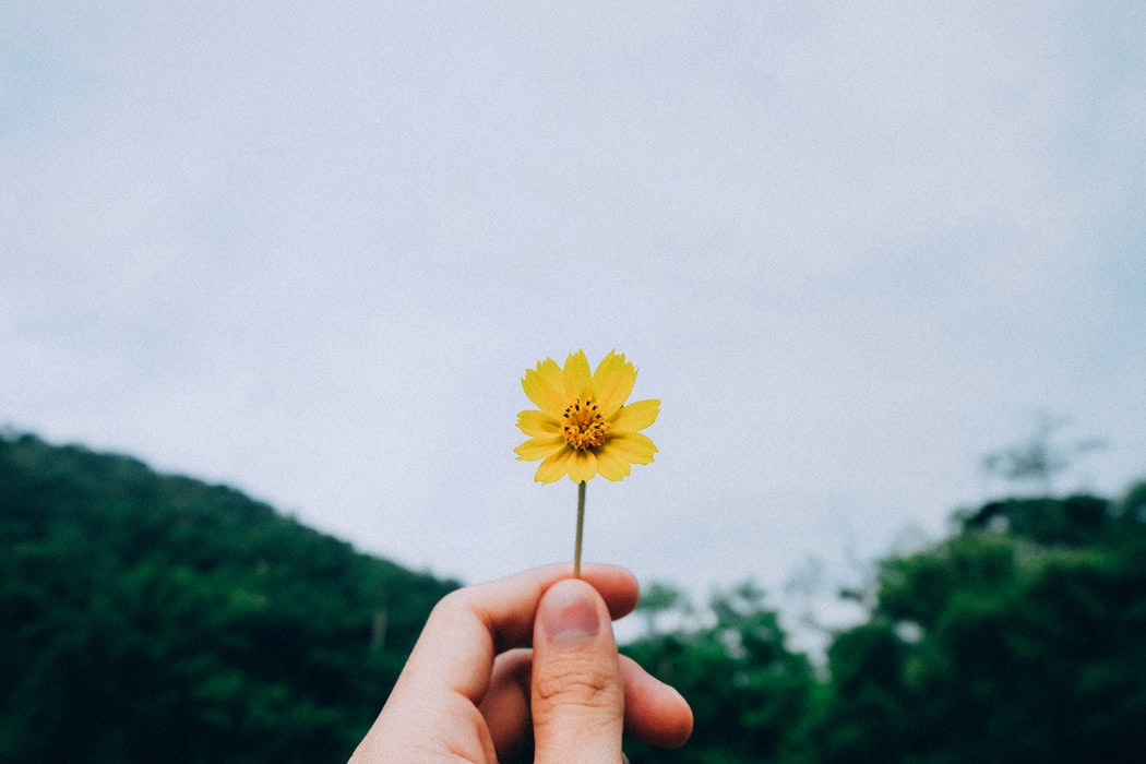 出軌后該如何經營自己的婚姻