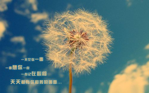 被分手了，如何讓對方比你更難受？