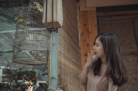 如何通過一封信成功挽回女友的心